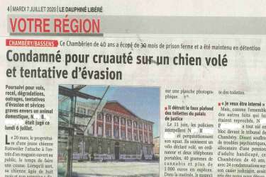 Articles du 07-07-2020